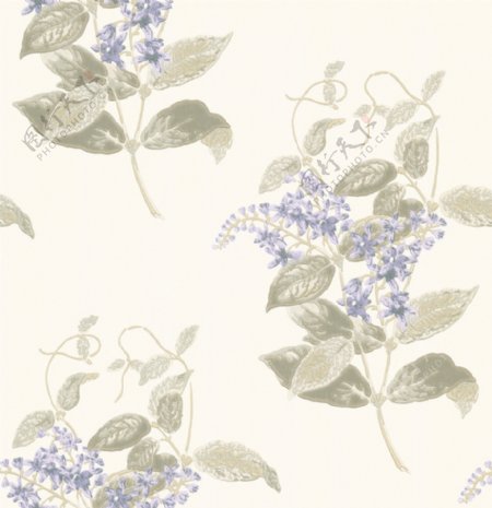 素雅风格蓝紫色花朵壁纸图案