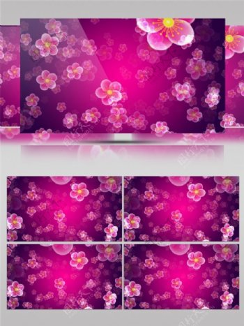 粉色花瓣视频素材