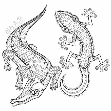 黑白手绘艺术鳄鱼和壁虎插画