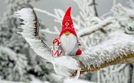 圣诞老人冰雪树枝