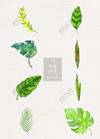 卡通手绘实物叶子绘画绿叶