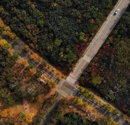 建大平面构成山路