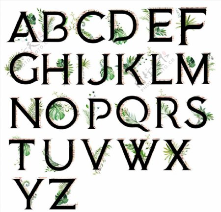 水彩植物字母字体