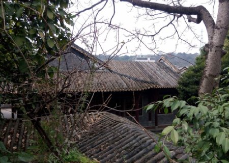 清晖园房顶与落叶
