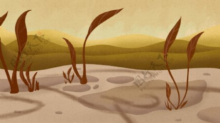 手绘沙漠植物插画背景图