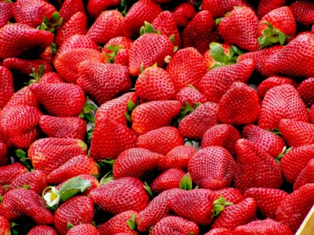 草莓高清照片