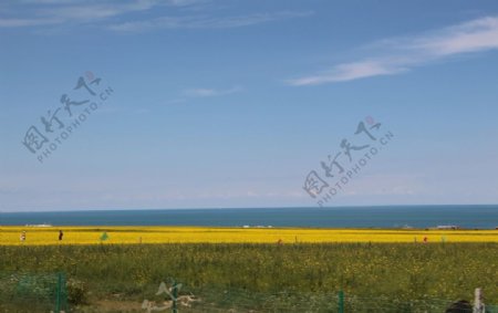 青海湖风景