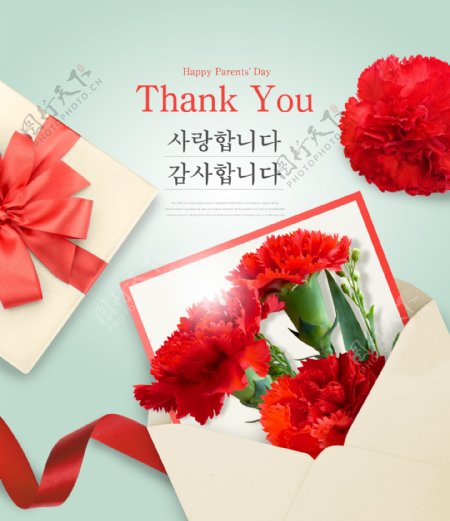韩系父亲节红康乃馨礼物海报设计