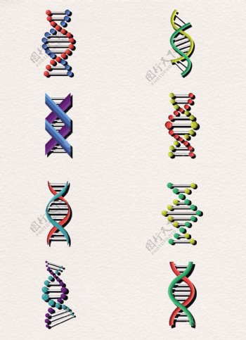 8款彩色dna基因检测链
