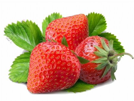 红色新鲜草莓元素