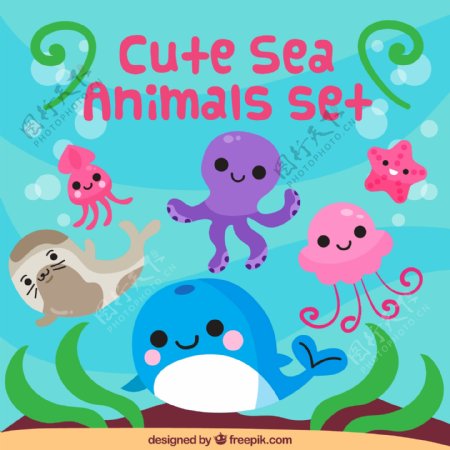 可爱卡通海洋动物