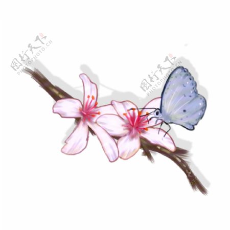 手绘花枝与蝴蝶透明底可商用素材