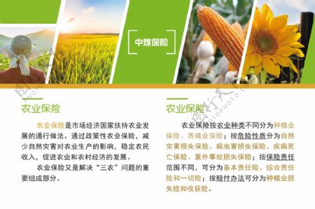 农业保险彩页