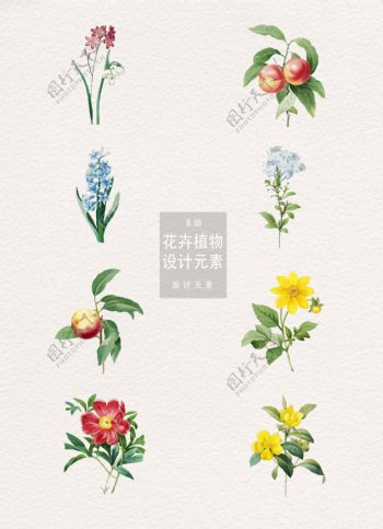 8款怀旧感手绘花卉植物插画设计素材