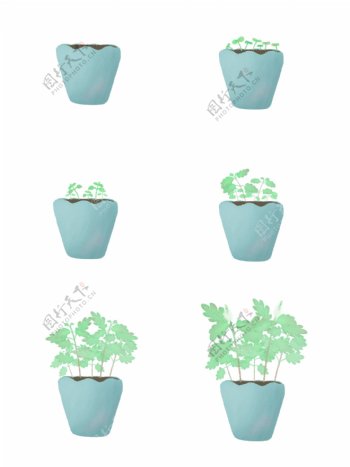手绘绿色薄荷植物生长过程