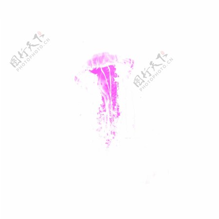 粉色透明水母绘画