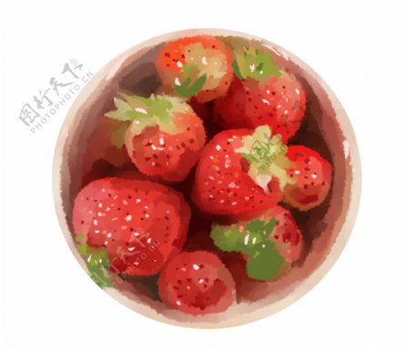 一盆草莓手绘插画