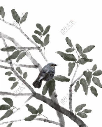 水墨鸟和树枝插画