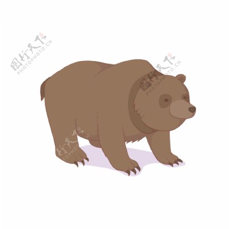 手绘卡通棕熊动物可商用