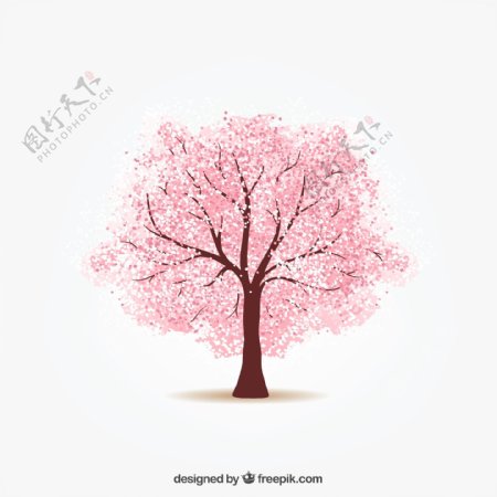 粉色花树樱花树