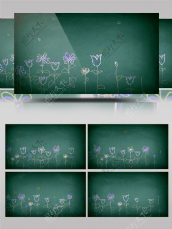 校园黑板上的粉笔花