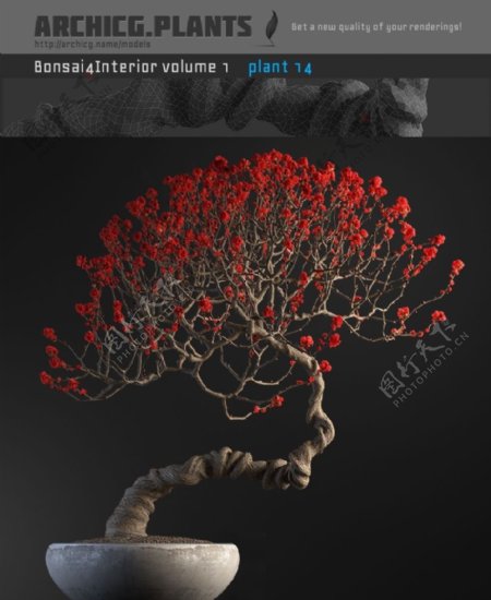 红色花枯枝盆栽模型