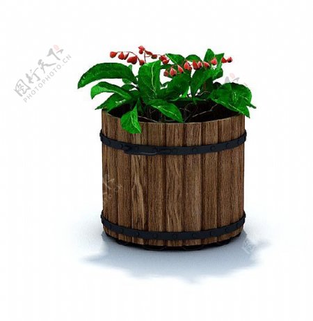 家种绿色植物盆栽3d模型