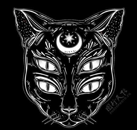 个性暗黑猫鼬4眼猫印花图案