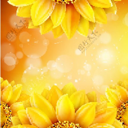 梦幻向日葵花朵金色背景纹理素材