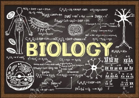 生物学黑板涂鸦简笔画矢量素材