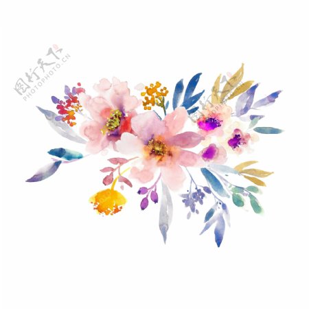 手绘水彩花卉卡通植物素材