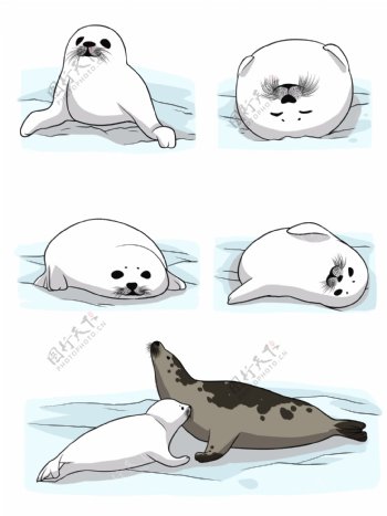 手绘原创卡通图案设计素材可爱动物海豹合集