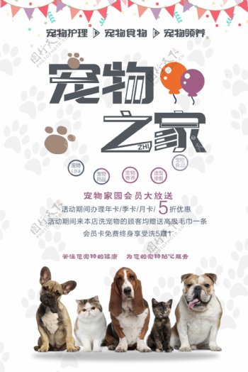 宠物之家海报设计