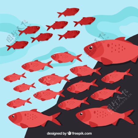 创意海底红色鱼群