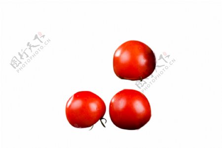 西红柿食材矢量图