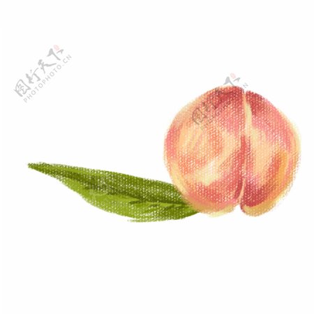 一颗熟了的桃子免抠图
