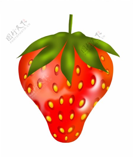 手绘新鲜草莓插画