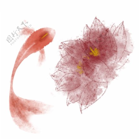 水彩风格手绘锦鲤线稿红色莲花