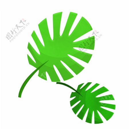 芭蕉树绿色叶子插画