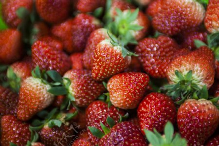 可口草莓实物图摄影图