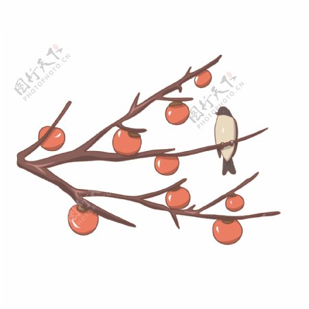 手绘冬季柿子枝小鸟插画