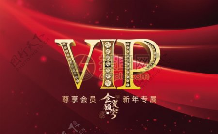 红色喜庆新年专属VIP卡