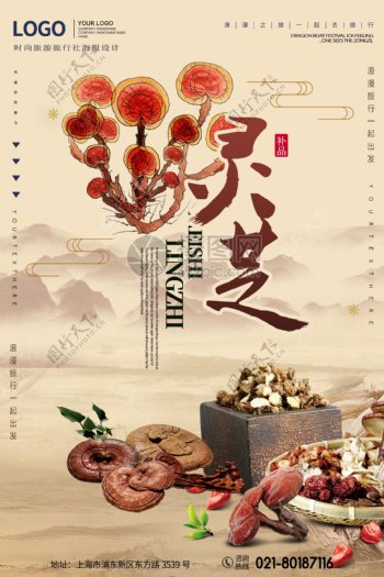 灵芝秋季养生美食海报