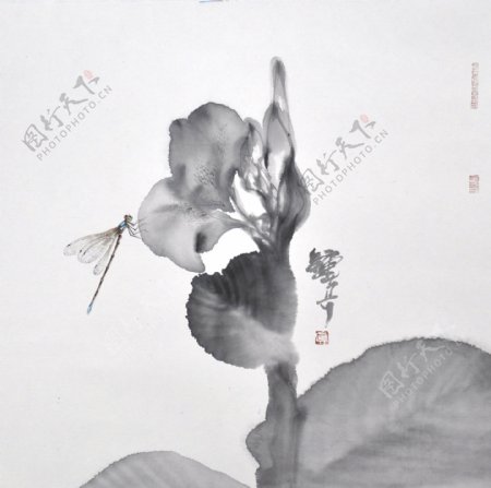 钟真国草虫系列手绘国画水墨花鸟