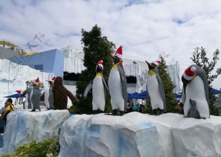 香港海洋公园企鹅雕像