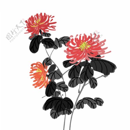 中国画写意手绘风菊花图