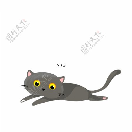 手绘一只可爱的灰色猫咪动物插画