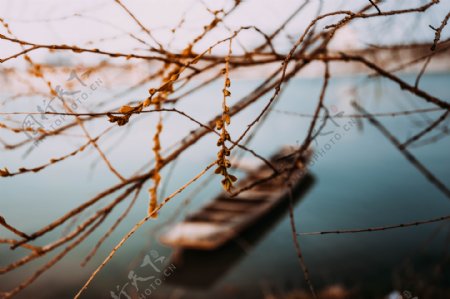 树枝与小船商用摄影