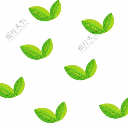 绿色植物叶子手绘茶叶透明底免抠