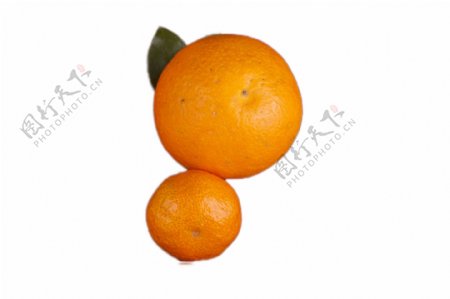 两个新鲜美味的橘子